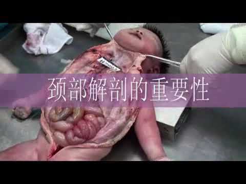 1.法医学尸体检查 中山大学 法医病理学  Forensic Examination