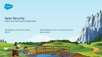 Apex Security Object and Field Security Made Easy