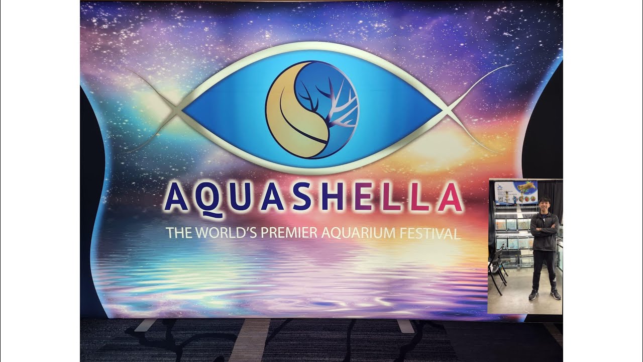 Aquashella Chicago 2022 TOUR I *BIGGEST* Aquarium Festival YouTube
