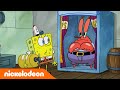 SpongeBob Schwammkopf | 5 MINUTEN, in denen SpongeBob vor lauter Senf explodiert! | Nickelodeon