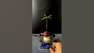 Lightning power + plants ep8