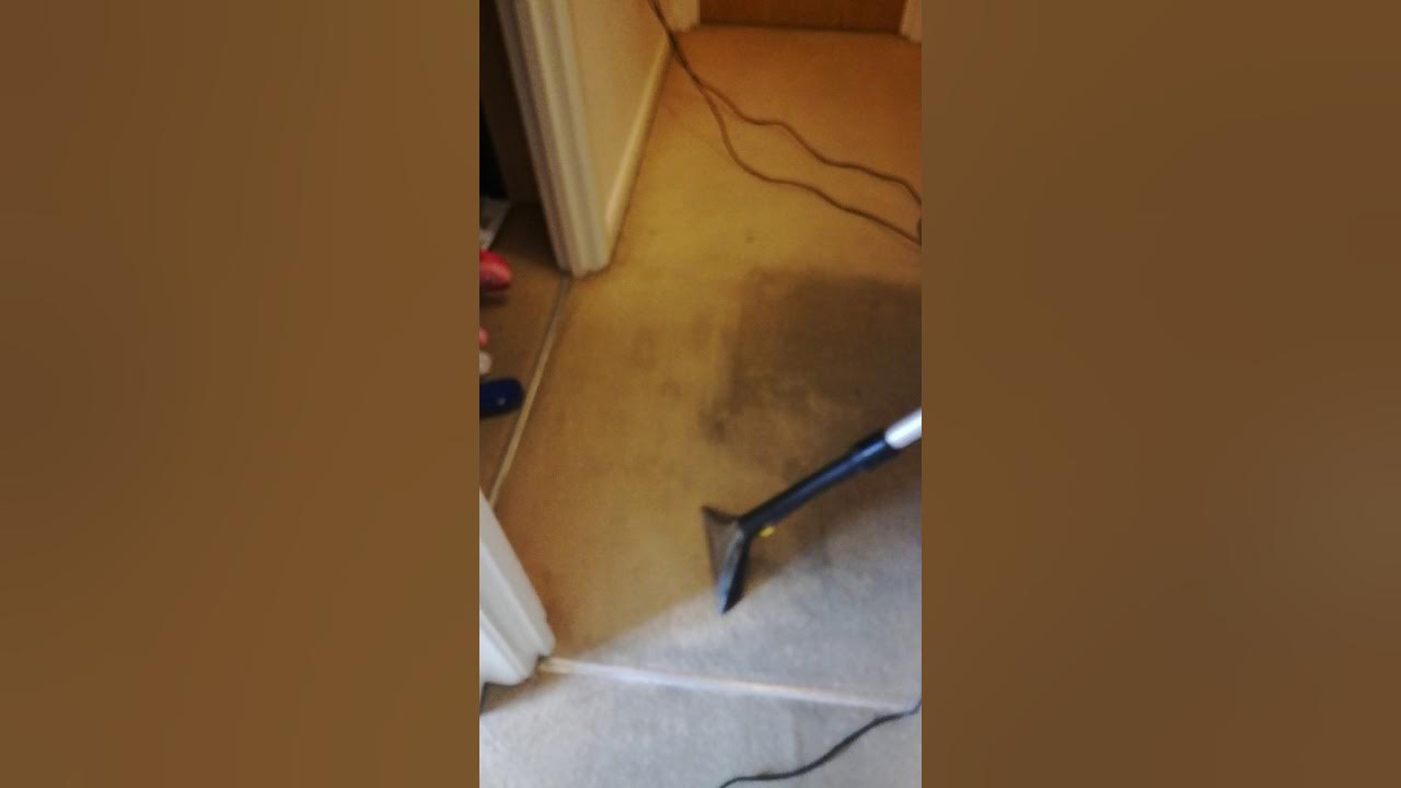 How to clean very dirty carpet. YouTube