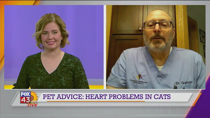 Pet Advice: Heart Problems in Cats