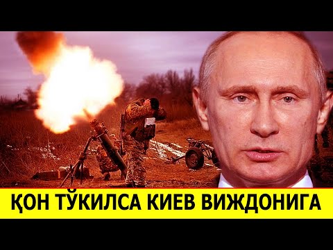 Видео: Амжилттай инвазив төрлийг юу болгодог вэ?