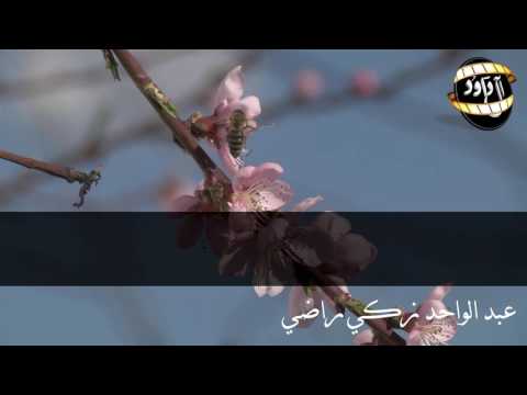 أذان فضيلة الشيخ عبدالواحد زكي راضي رحمه الله HD 