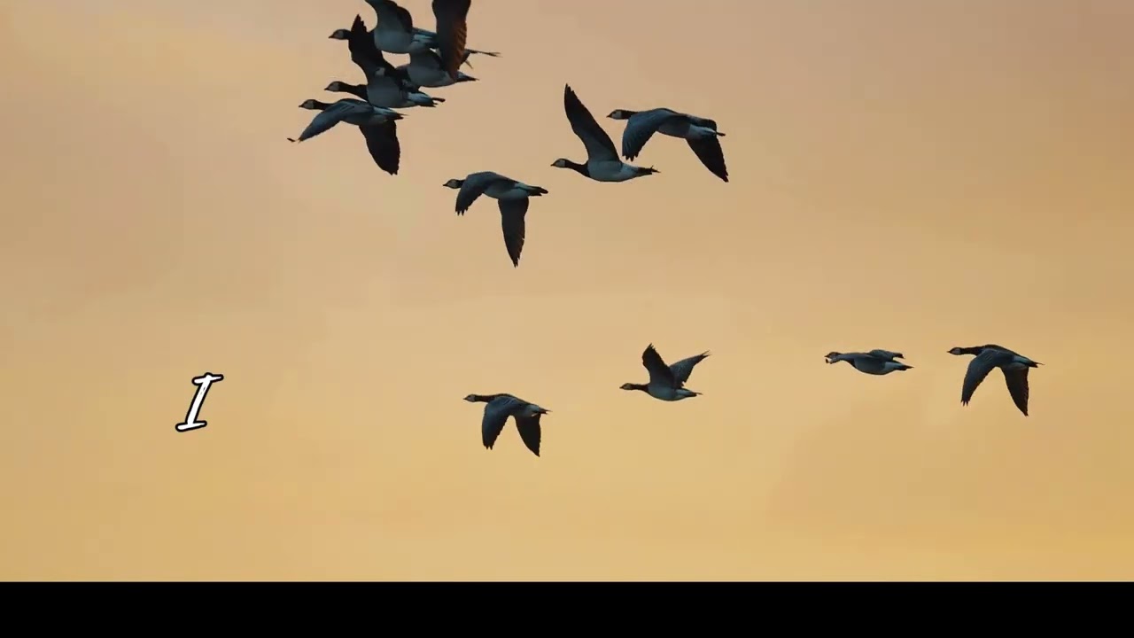 Faith That Holds My Tomorrow (O.S.B.)