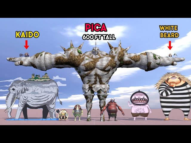 One Piece Character Size Comparison | ワンピースの大きさ比較 