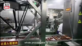 Granular material filling and packing production line固体（颗粒）自动计量 包装生产线