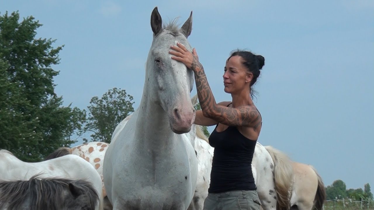 GPTV: Inzamelingsactie Norma's Universum al ruim over een ton