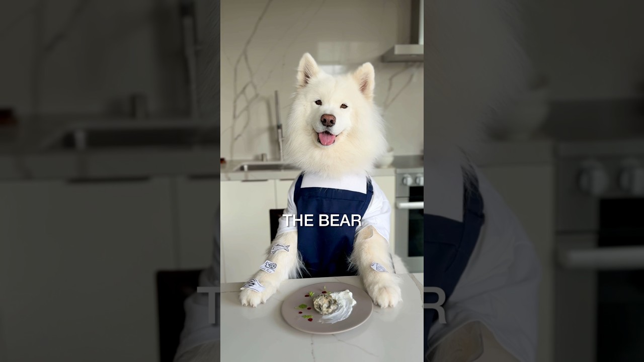 Happy Halloween from The (Rice) Bear! 🐻🎃 