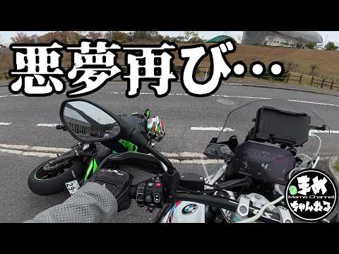 まめちゃんねる - YouTube