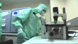 Médecin chef et chercheur