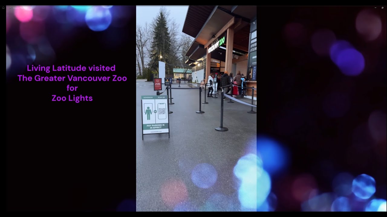 Zoo Lights ✨🦁  Magical Winter Wonderland Experience