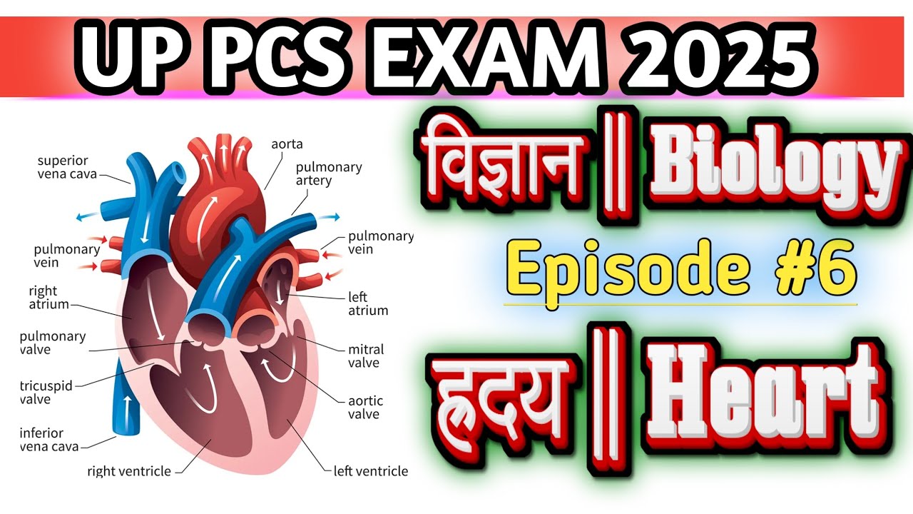 How does the heart work? Structure and
function of the heart | Human Heart & Its
Function in Hindi