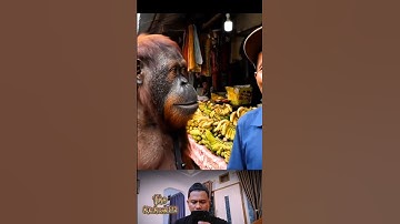 Thumbnail of beli pisang di pasar #phonk #music #anime #animeedit #song #bushcraft #automobile #brookhave
