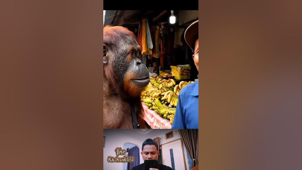 beli pisang di pasar #phonk #music #anime #animeedit #song #bushcraft #automobile #brookhave