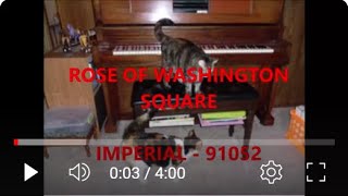 ROSE OF WASHINGTON SQUARE  -  IMPERIAL - 91052
