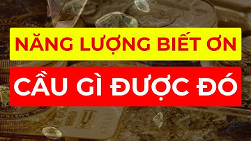 Rung Động Năng Lượng "BIẾT ƠN" Thu Hút Tiền Bạc Ngay Lập Tức I Sức Mạnh Tiềm Thức Luật Hấp Dẫn