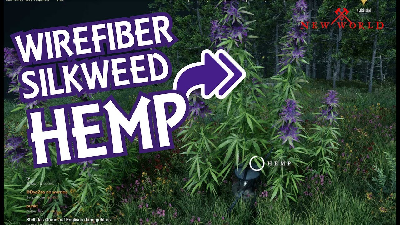 Amazon's New World. Where to Find Fibers. Hemp, Silkweed, Wirefiber