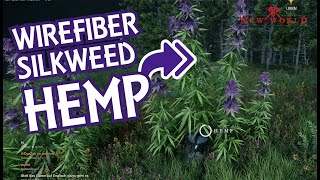 Amazon's New World. Where to Find Fibers. Hemp, Silkweed, Wirefiber