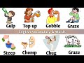 Vocabulary: Eating and drinking related || English Vocabulary and words ||