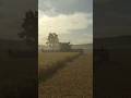 🌾 Wheat harvest with JOHN DEERE | Farming Simulator 25 #farmingsimulator #farmingsimulator25 #fs25