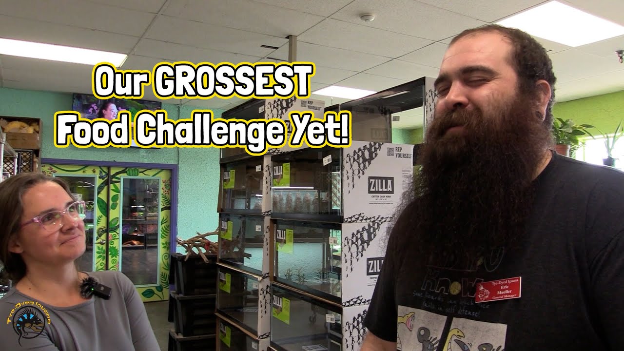 Команда угадывает, что это за УЖАСНАЯ загадочная закуска! 😝 - кулинарный челлендж от TDI!