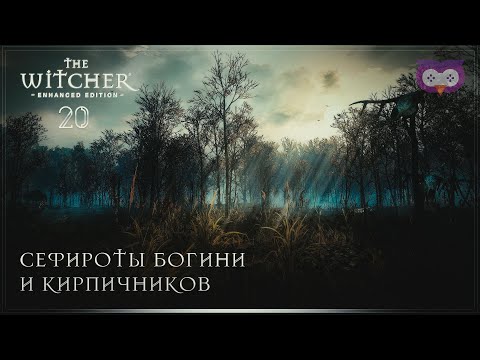 Сефироты богини и кирпичников 🦉 Ведьмак 1 (The Witcher) #20