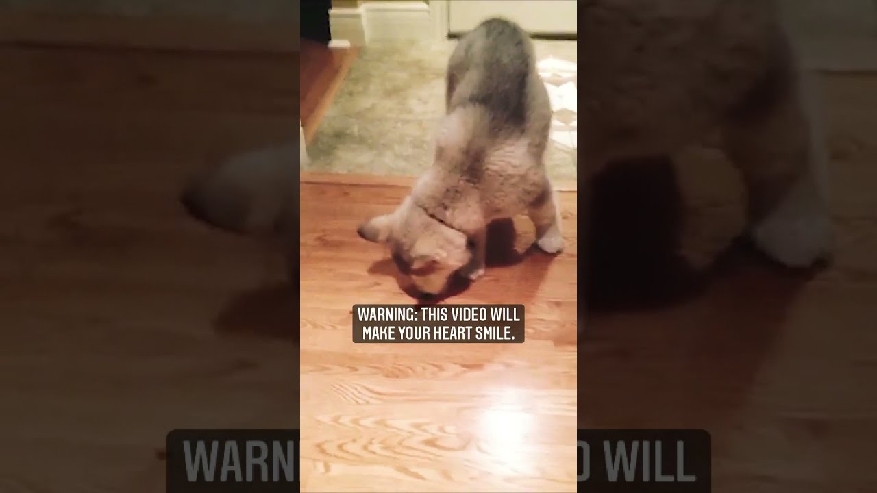 Hope you’re a little happier after this moment 