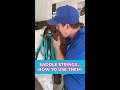 How To Use Your Saddle Strings! | The Horse Guru-Michael Gascon