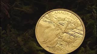 The caribou is the subject of our 2021 .99999 pure gold animal portrait.