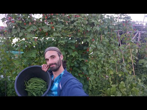 How to grow