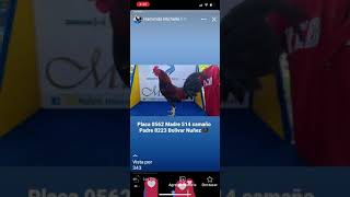 12 De Febrero De 2021