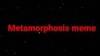METAMORPHOSIS MEME