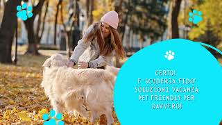 ANDARE IN VACANZA CON FIDO - SCUDERIA FIDO