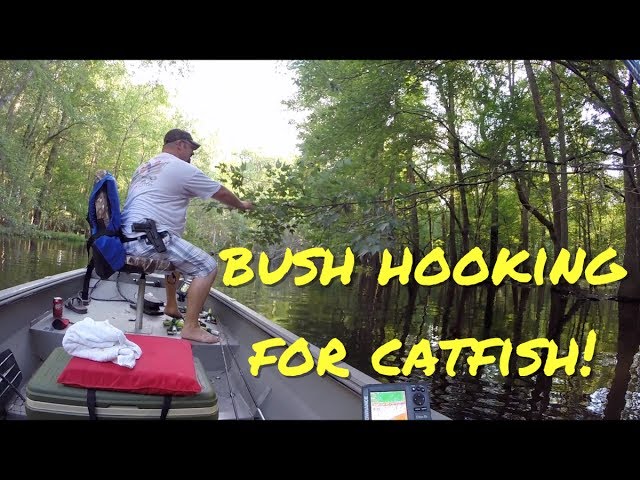 Fishing For Catfish Using Bush Hooks! 