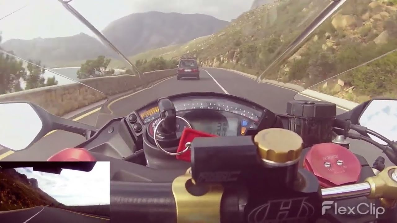 Rooi Els to Dappat se gat - *Part 1*