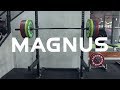 Magnus squat stand