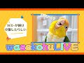 わせこふLIVE#264 ねぇ、1月がもう終わるって、ま!?