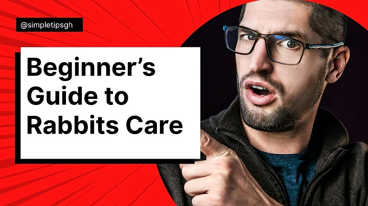 Beginner's Guide to Rabbit Care