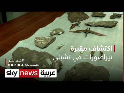 اكتشاف مقبرة تيراصورات في تشيلي شاهد سكاي