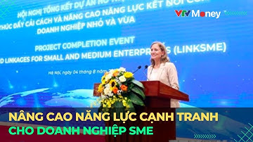 Nâng cao năng lực cạnh tranh cho doanh nghiệp SME | VTVMoney