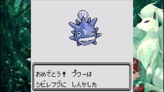 Pokémon Spaceworld Demo - all new evolutions
