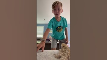 I did a reverse video and it looks so cool part two #shorts