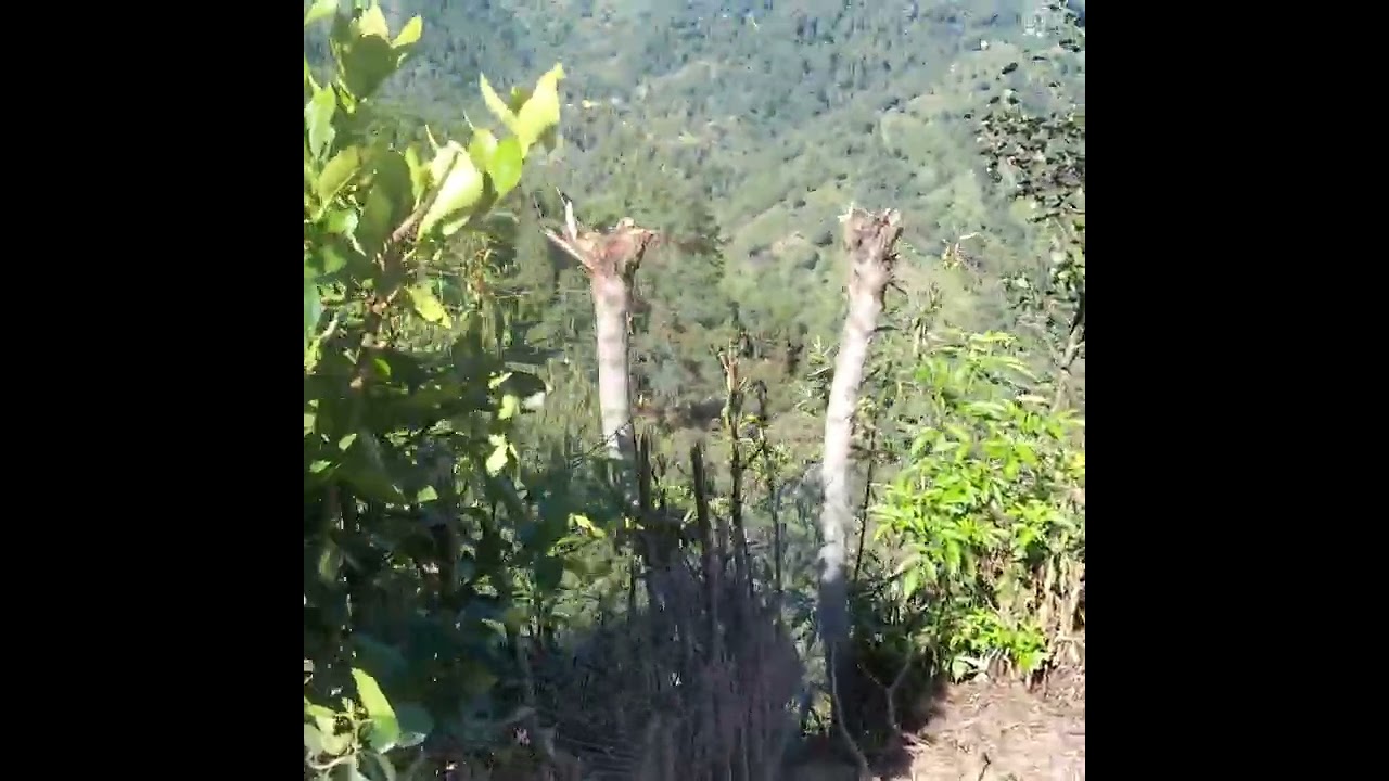 Así está la mañana en Guatemala amigos