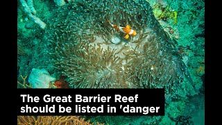 The Great Barrier Reef should be listed in 'danger,' UNESCO says
