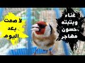 تحفيز دمار لمقنين مهاجر الأنثي راح تغني قبل الذكر  وتهيج🔥🔥