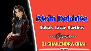 Mola Dekh Ke Dabak Lasar Karthas | Cg Song Dj Remix 2026 | Dj Shailendra Bhai | Dj Vkr Bhai |