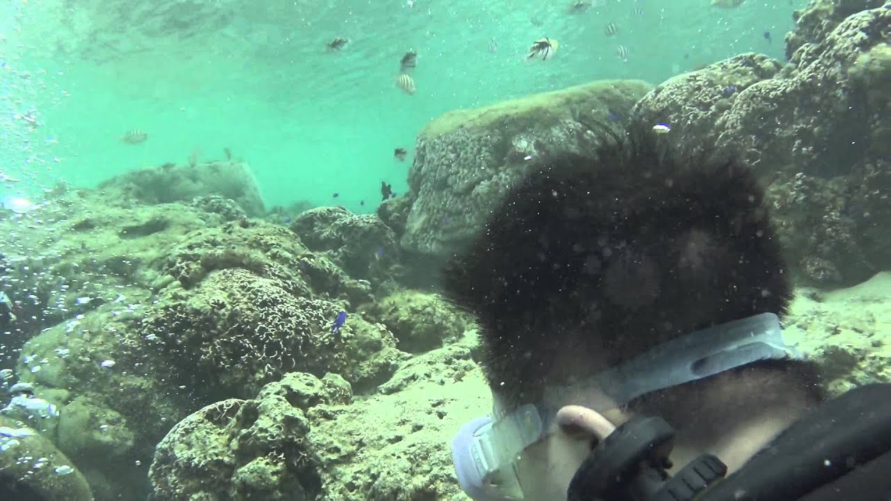 Okinawa diving