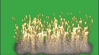 DIFFERENT KINDS OF FIREWORKS / TOP VIDEO 2022